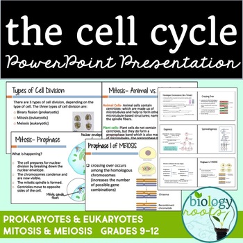 Preview of Cell Division PowerPoint Mitosis and Meiosis