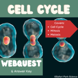 Cell Cycle, Mitosis, and Meiosis WebQuest