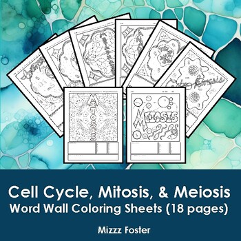 Preview of Cell Cycle, Mitosis and Meiosis Word Wall Coloring Sheets (18 pages)