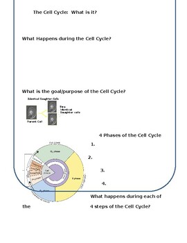 Cell Cycle Regulation Worksheet Editable And Fillable Resource