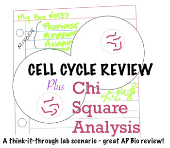 Preview of Cell Cycle/Mitosis Scenario with Chi Square analysis (Answer Key)