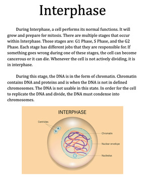 Preview of Cell Cycle Stations