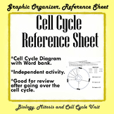 Cell Cycle Student Reference Worksheet *PRINTABLE, PDF & DOCX*
