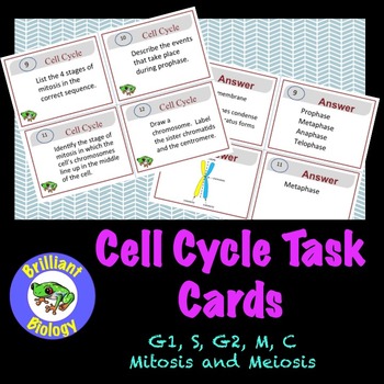 Preview of Cell Cycle Task Cards: Mitosis & Meiosis