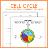 Cell Cycle Vocabulary Graphic Organizer | Biology Genetics