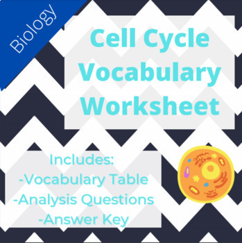 Preview of Cell Cycle Vocabulary and Review Questions Worksheet