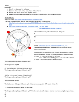 Preview of Cell Cycle Webquest