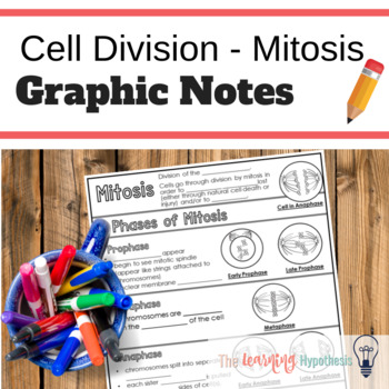 Preview of Cell Cycle Notes. Mitosis Worksheets. Digital & Print. Distance Learning