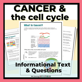 Preview of Cell Cycle and Cancer Worksheet Packet.  Digital and Print.