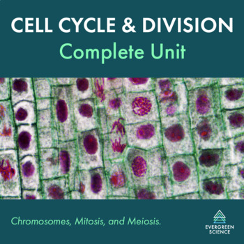 Preview of Cell Cycle and Divison - Complete Unit