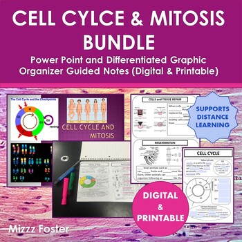 Preview of Cell Cycle and Mitosis: PowerPoint and Guided Notes (Digital & Printable)