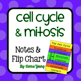 Cell Cycle and Mitosis Notes and Flip Chart