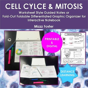 Preview of Cell Cycle & Mitosis Graphic Organizer Guided Notes (Printable & Digital)