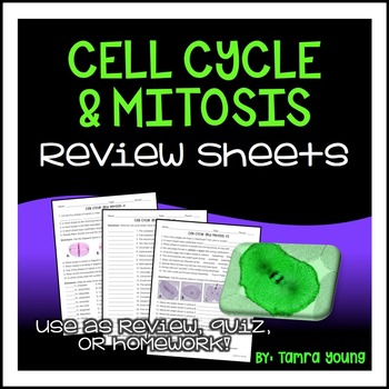 Preview of Cell Cycle and Mitosis {Review/Quiz/Homework}