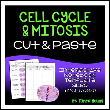Preview of Cell Cycle and Mitosis Activity