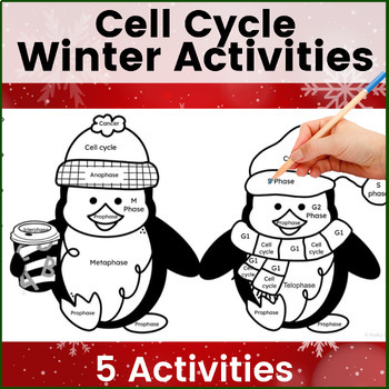 Preview of Cell Cycle and Mitosis Review Activities for the Winter Season