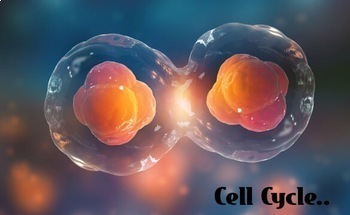 Preview of Cell Cycle explained in detail 