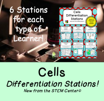 Preview of Cell Differentiation Stations - Distance Learning Friendly