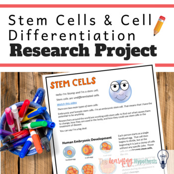 Preview of Cell Differentiation. Stem Cell Activity