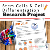 Cell Differentiation. Stem Cell Activity