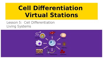Preview of Cell Differentiation and Specialization Virtual Station Activity