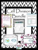 Cell Division Bundle