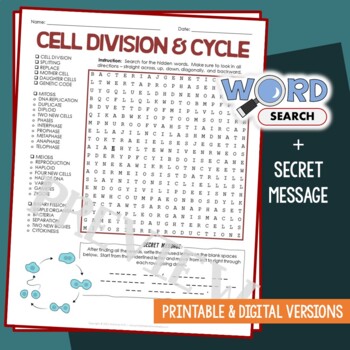 Preview of Cell Division, Cycle, Meiosis, Mitosis Word Search Vocabulary Activity Worksheet