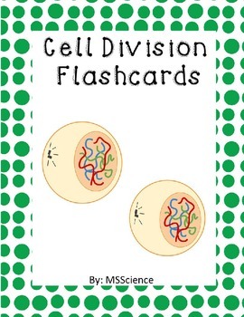 Preview of Cell Division Flashcards