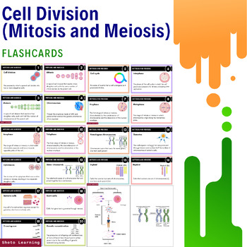 Preview of Cell Division Flashcards: Mitosis & Meiosis - Set of 20