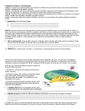 Cell Division Guided reading