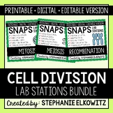 Cell Division Lab Stations Bundle | Printable, Digital & Editable
