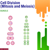 Cell Division Learning Bundle: Explore the World of Mitosi