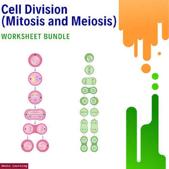 Preview of Cell Division Mastery Worksheet Bundle: Dive Deep into Mitosis and Meiosis