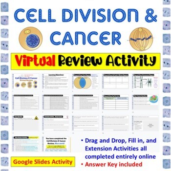 Preview of Cell Division, Mitosis, & Cancer * Digital Review Activity