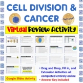 Cell Division, Mitosis, & Cancer * Digital Review Activity