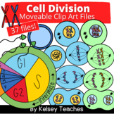 Cell Division Mitosis Meiosis Bio Clip Art | Clipart Movea