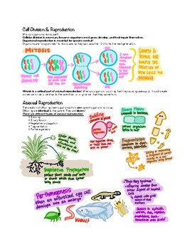 Preview of Cell Division (Mitosis, Meiosis) & Reproduction (A/sexual) Notes / Study Guide