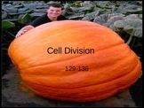 Cell Division Mitosis PowerPoint Presentation