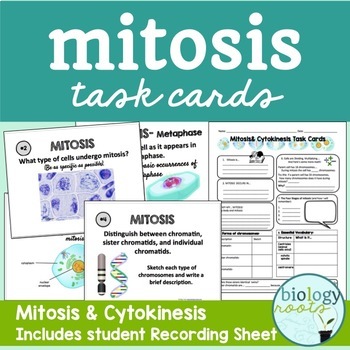 Preview of Cell Division Mitosis Task Cards