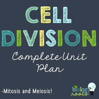 Preview of Cell Division Mitosis and Meiosis Bundle
