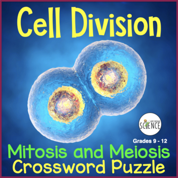 Preview of Cell Division  Mitosis and Meiosis Crossword Puzzle