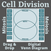 Cell Division Mitosis and Meiosis Drag and Drop Exercise