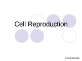 Cell Division Mitosis and Meiosis PowerPoint Presentation 