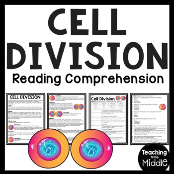 Preview of Cell Division Reading Comprehension Worksheet Mitosis and Meiosis Science