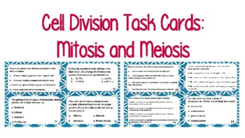 Preview of Cell Division Task Cards: Mitosis and Meiosis