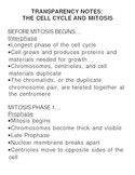 Cell Division - The Cell Cycle, Mitosis, and Cytokinesis C