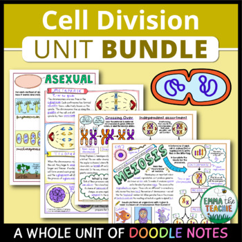 Preview of Cell Division Unit - Doodle Notes BUNDLE