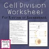 Cell Division Worksheet