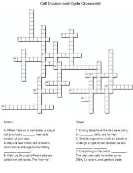 Cell Division and Cycle Crossword by Northeast Education TPT