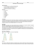 Cell Division and the Cell Cycle